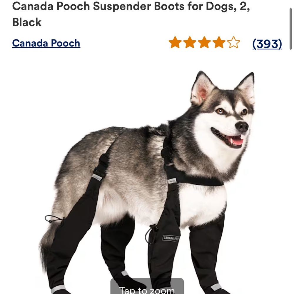 Suspender Boots for Dogs